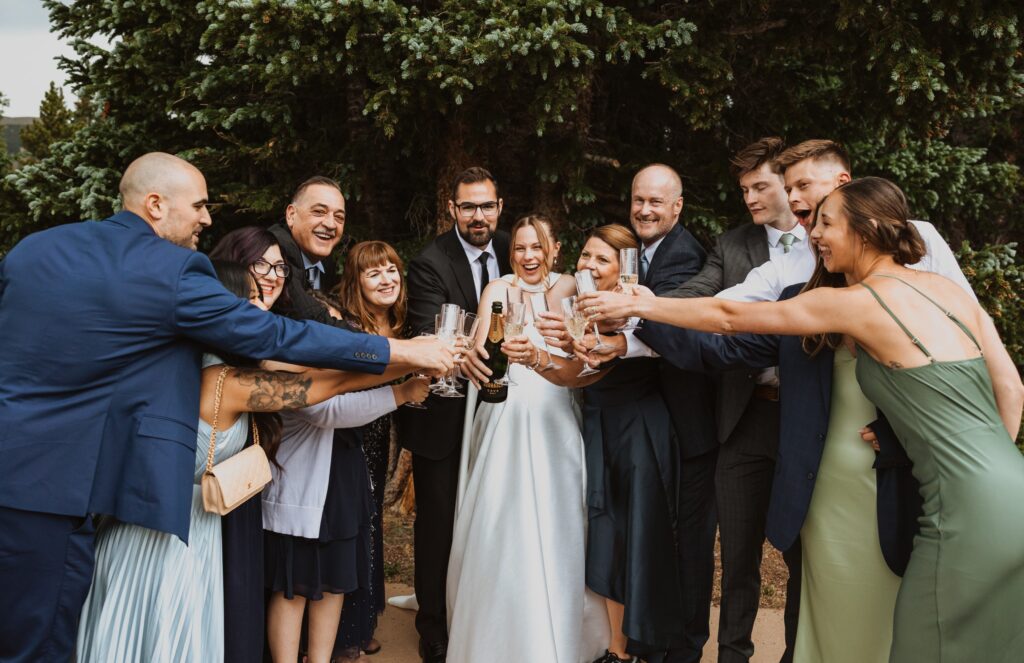 Bride, groom, and wedding party
