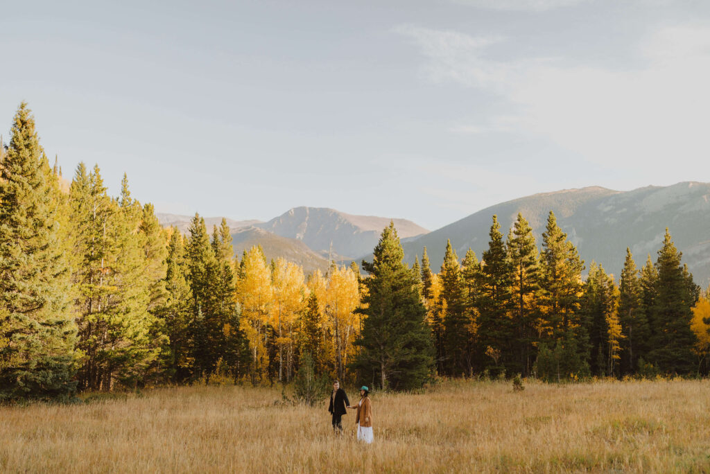 couple posing in field backed by Rocky Mountain and trees