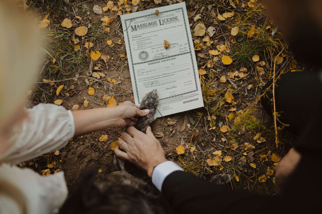 couple having dog sign marriage license 