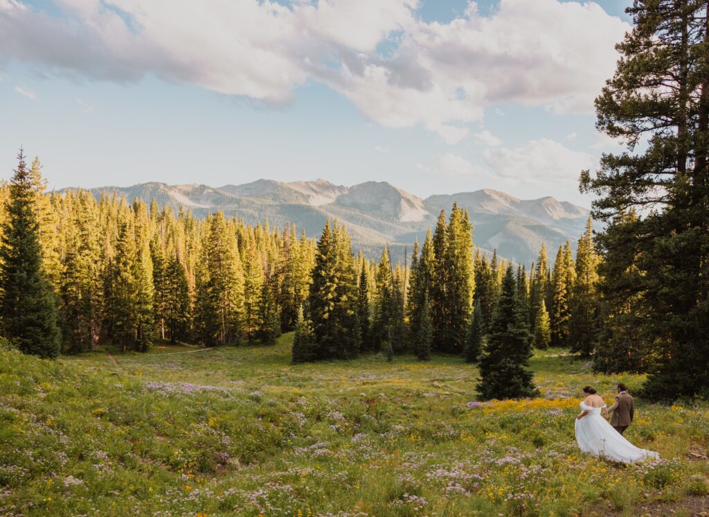 Bride and groom walking in field with wildflowers surrounded by trees and mountain scenery