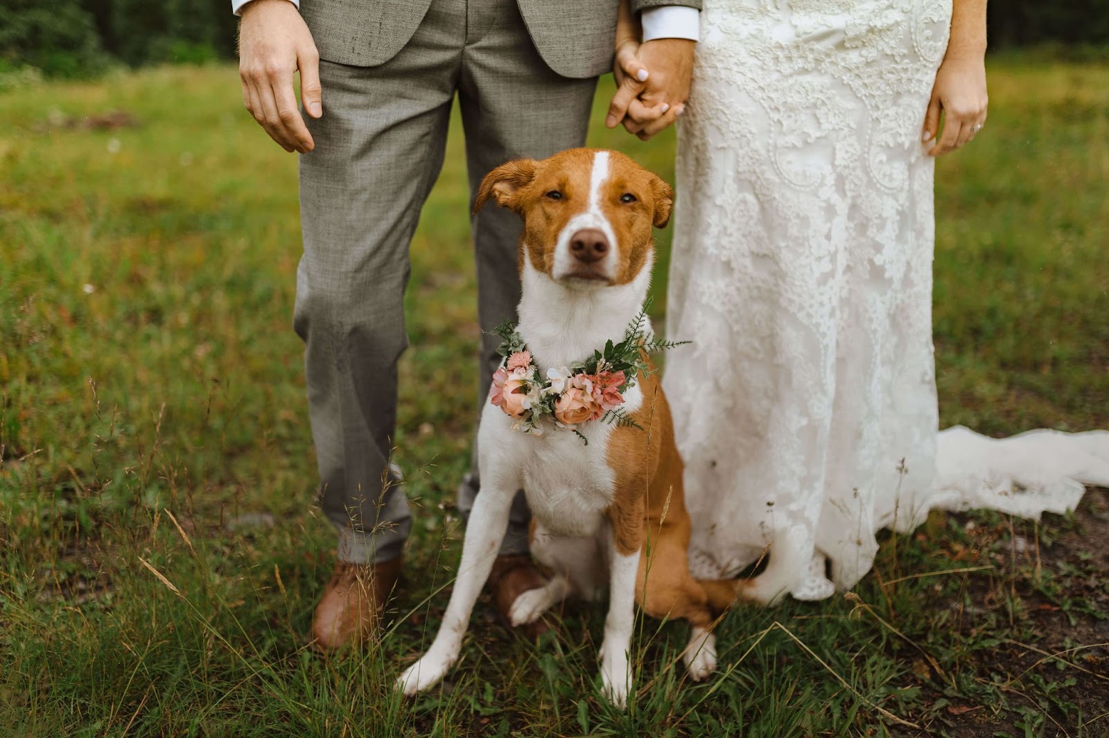 Bride and groom with dog
