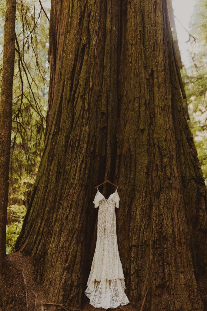 Wedding dress hanging on tree