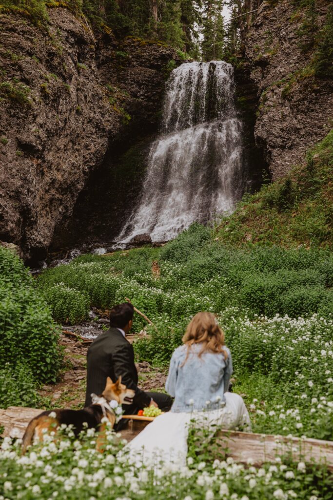 bride and groom with dog at waterfall in Ouray