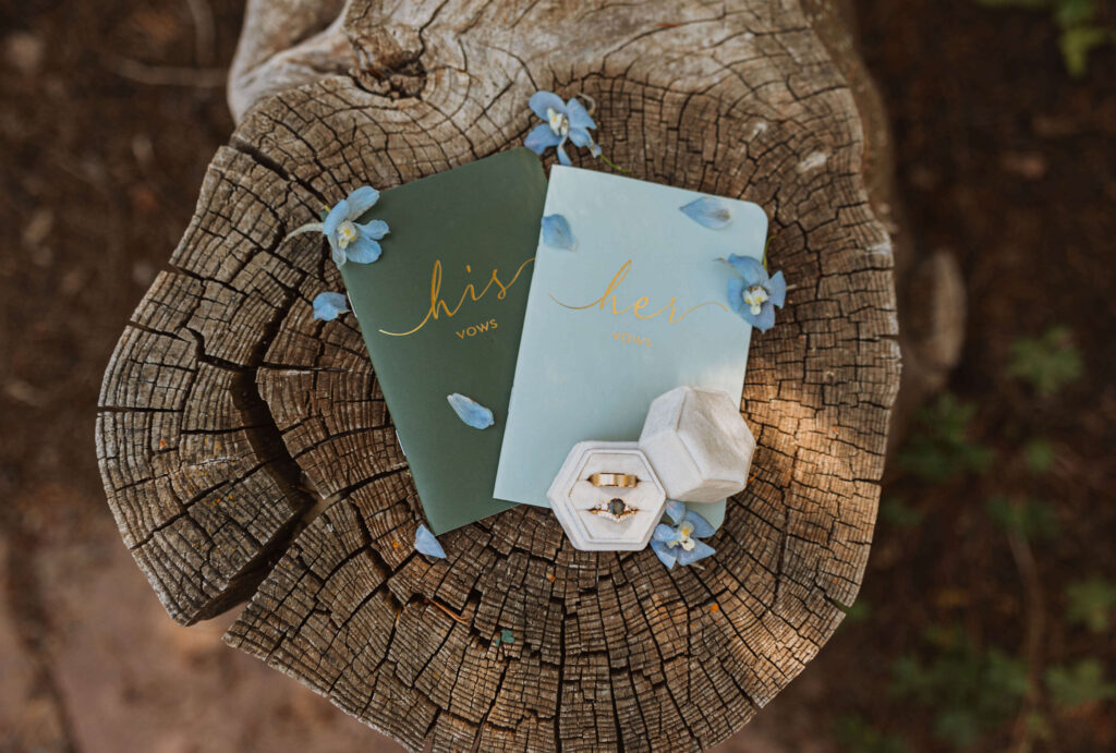 vow books and rings on tree stump
