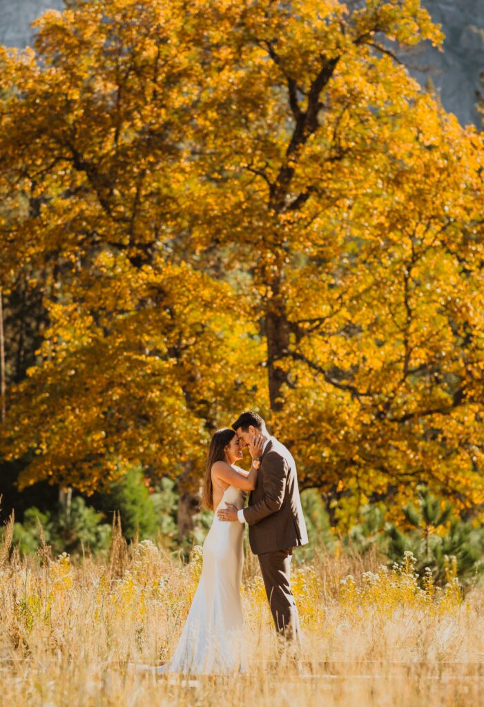 Bride and groom posing for wedding photo at Yosemite National Park surrounded by fall foliage