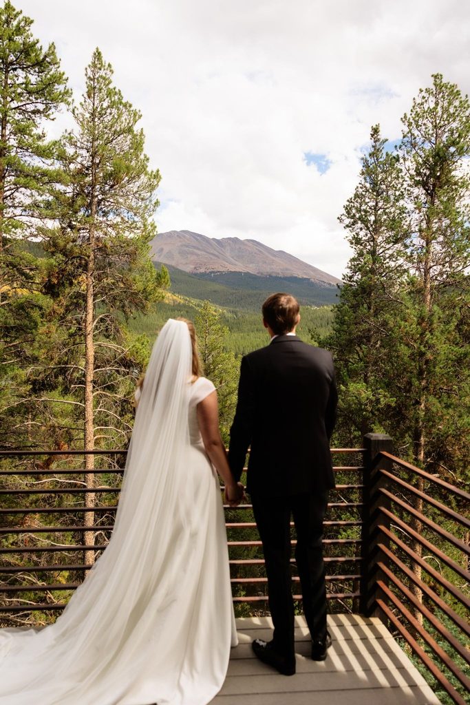 Bride and groom hold hands with back to camera as they look out at mountains of Loveland Pass.